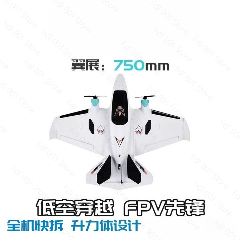 Dual Motor FPV Fixed Wing RC A - đánh giá và giá Fpv Drone Motor